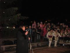 Picture 009